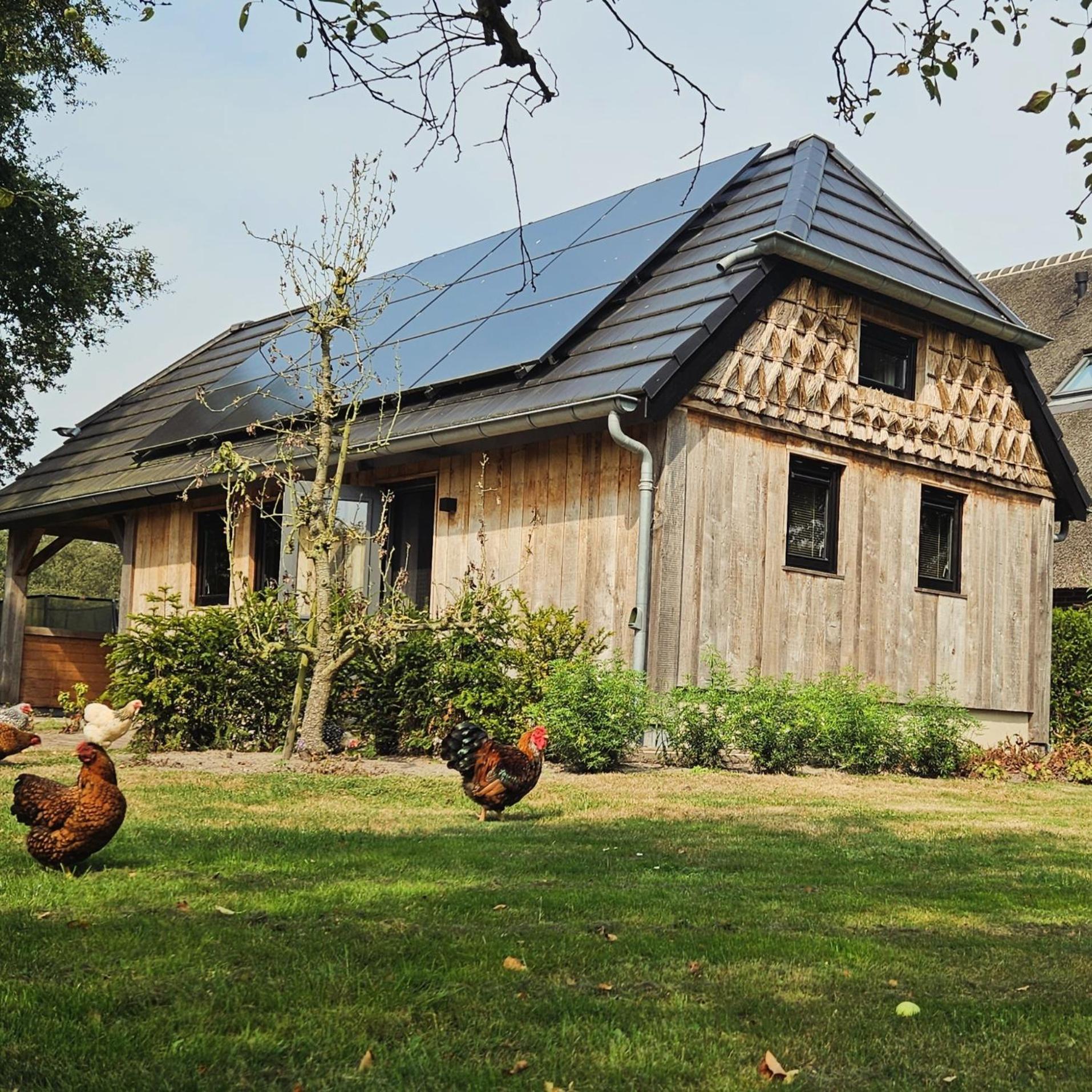 Villa Moi Meppen Esterno foto